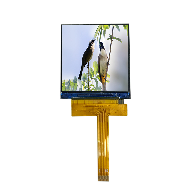 Modulo LCD TFT IPS da 1,54 pollici con angolo di visione completo