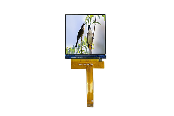 Qual è la differenza per il display TN VS IPS?