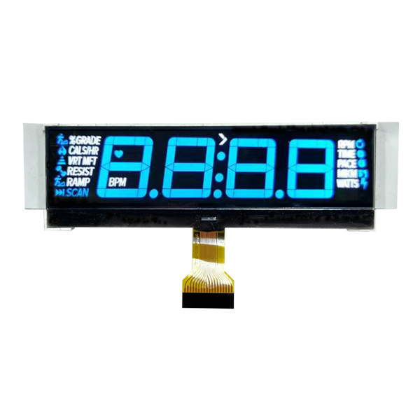 Visualizza lo schermo LCD monocromatico negativo