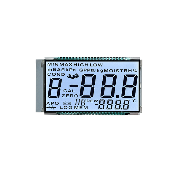 Segmento LCD Visualizza il modulo di visualizzazione FSTN per il sistema di controllo